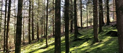 Gut geschützt gegen Zeckenstiche